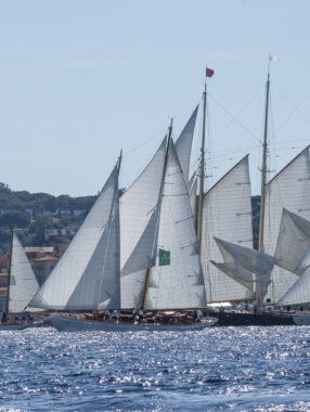 Voiles de Saint-Tropez (classiques et modernes)