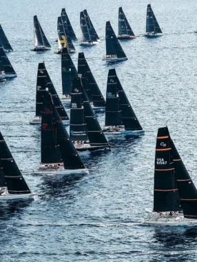 CAPE 31 GOLD CUP